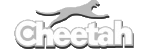 چیتا